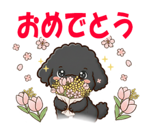 黒プードル春のLINEスタンプ