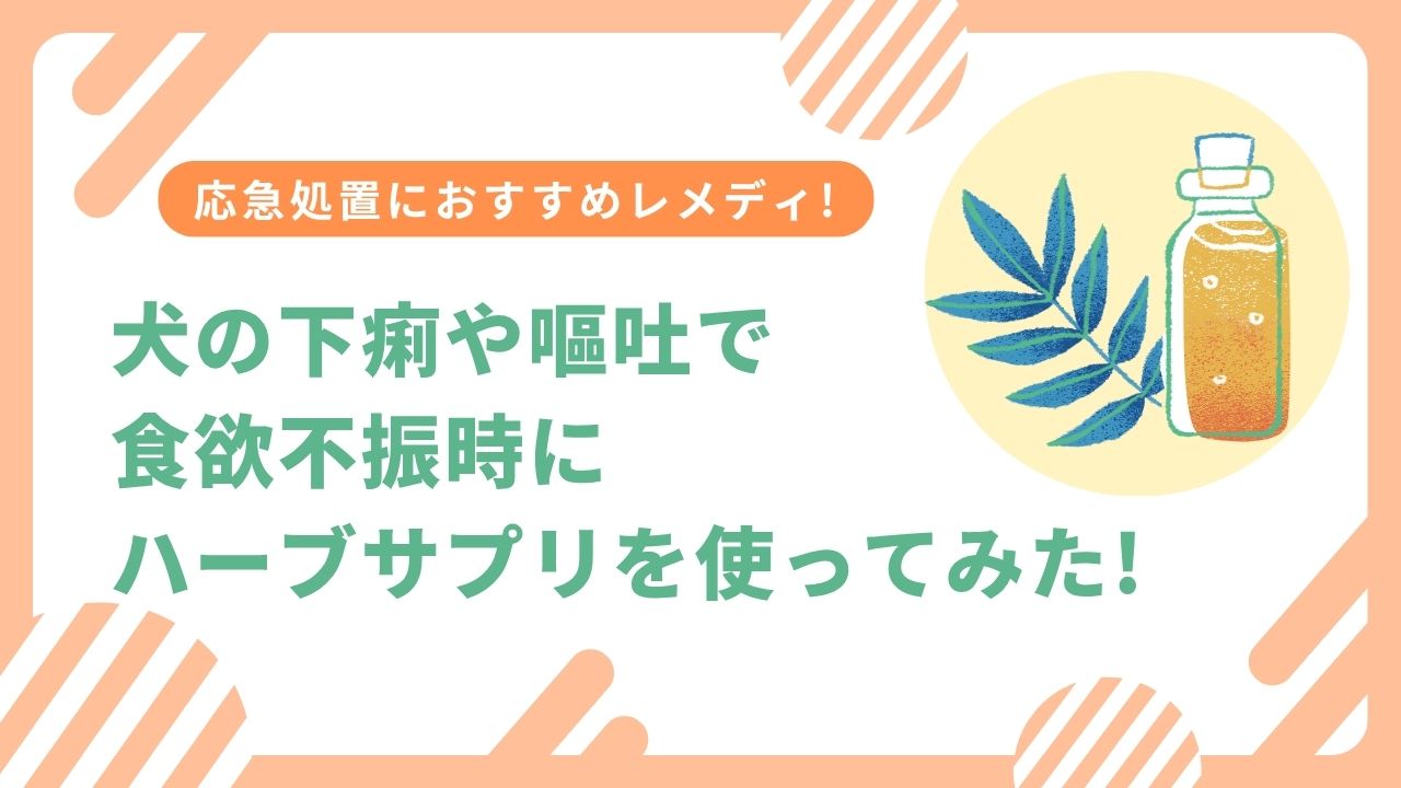 犬の下痢や嘔吐で食欲不振時にハーブサプリを使ってみた!応急処置におすすめレメディ!