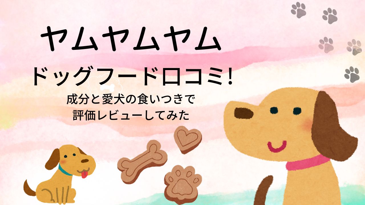 ヤムヤムヤムドッグフード口コミ!成分と愛犬の食いつきで評価レビューしてみた