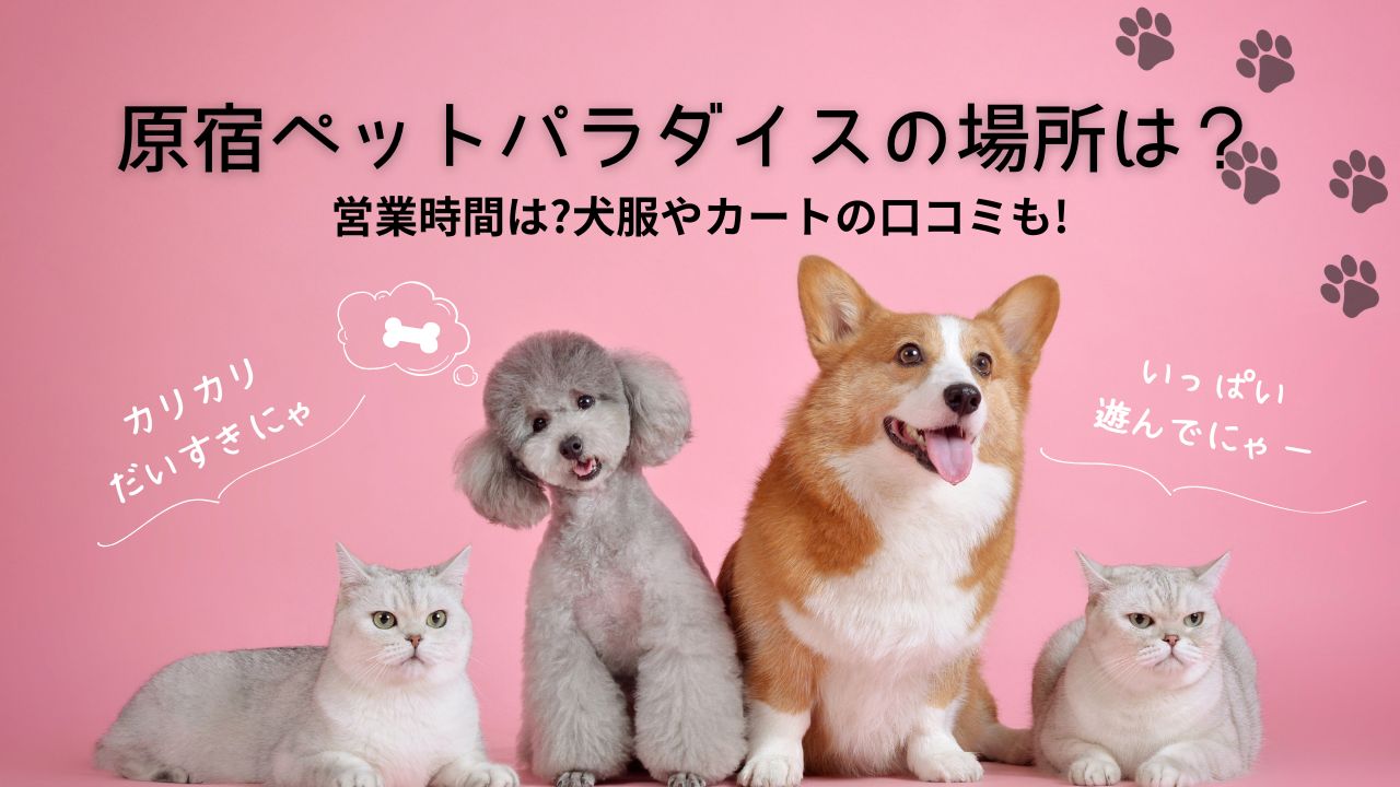 原宿ペットパラダイス場所
