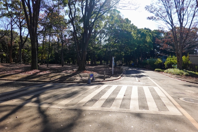 代々木公園駐車場