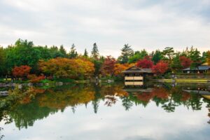 昭和記念公園もみじ